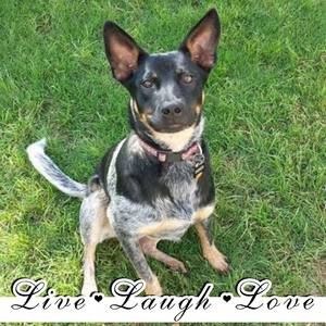 Meet your Posher, Sue